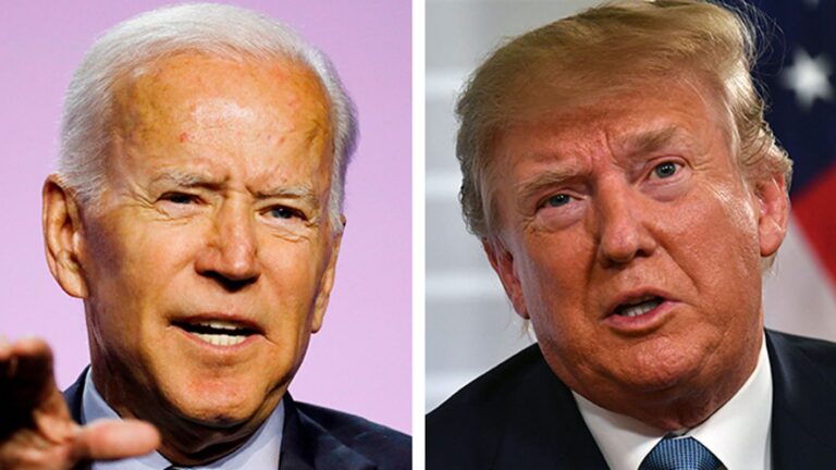 EXCLUSIVE: Swing-state voters favor Trump over Biden on China, protecting businesses, poll finds